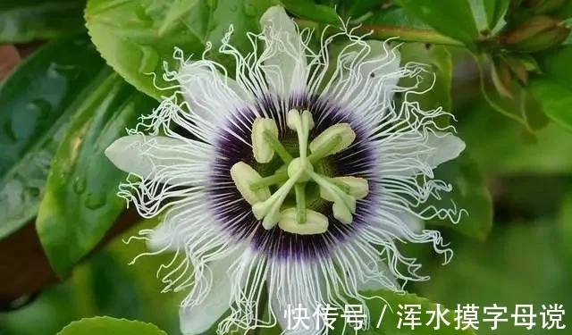 死神都不敢惹这4星座,个性十分强悍,能爆发出超乎想象的力量