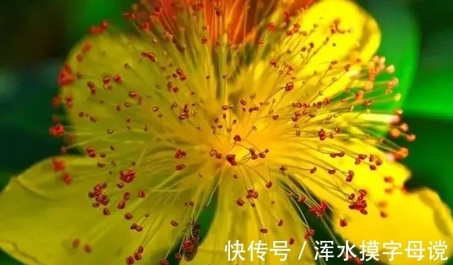 死神都不敢惹这4星座,个性十分强悍,能爆发出超乎想象的力量