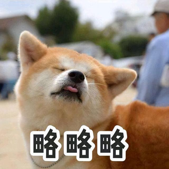 “十二星座”的本命狗,你养对了吗?